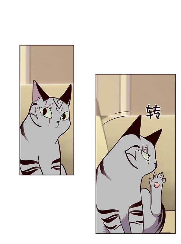 第38话65