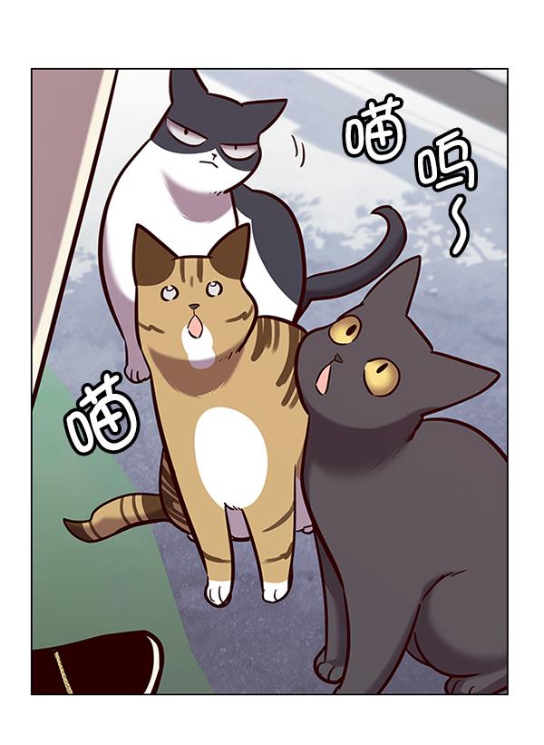 第179话100