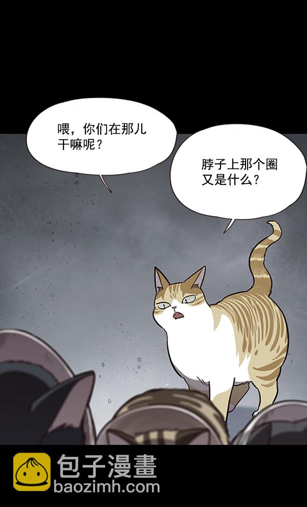 第56话5
