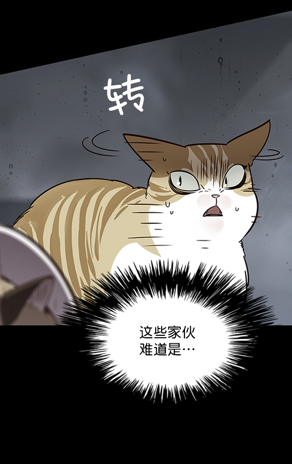第56话11