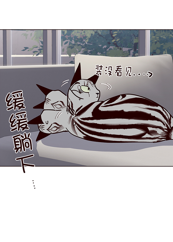 第37话41