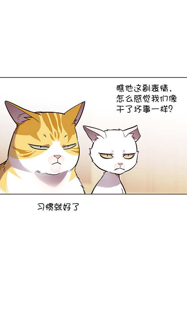 第146话80