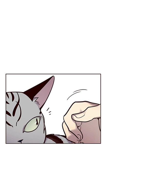 第55话19