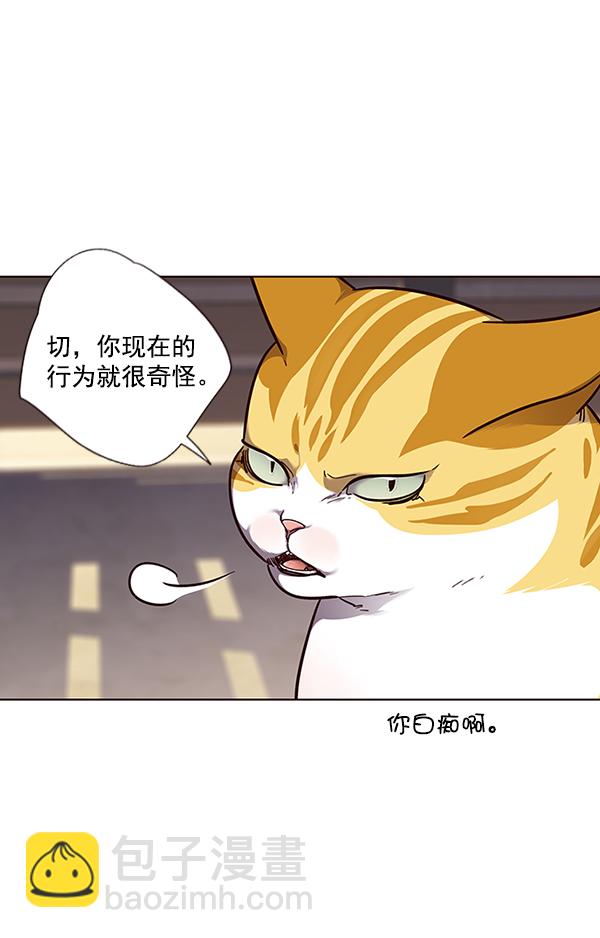 第50话37