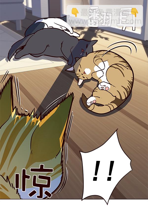 第11话36