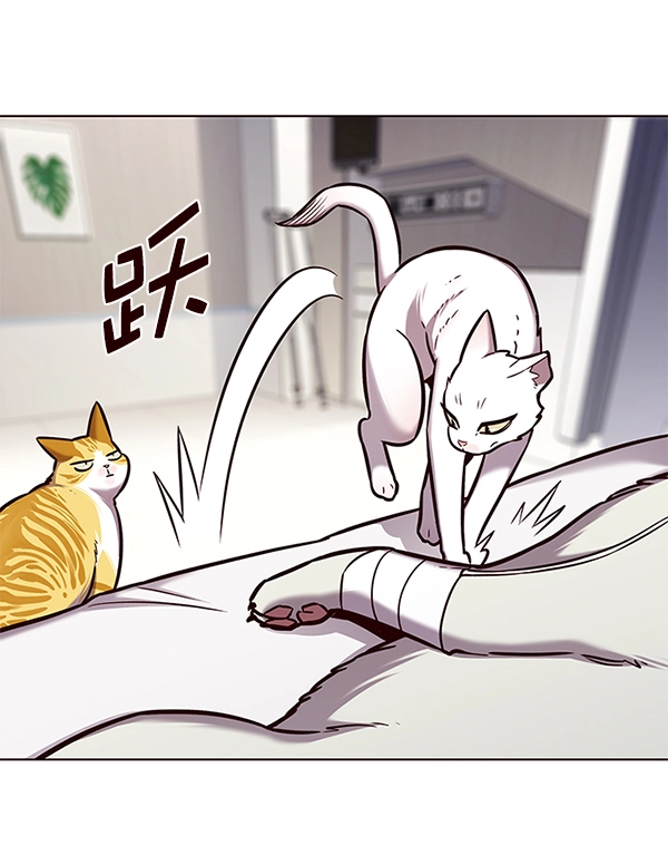 第166话14