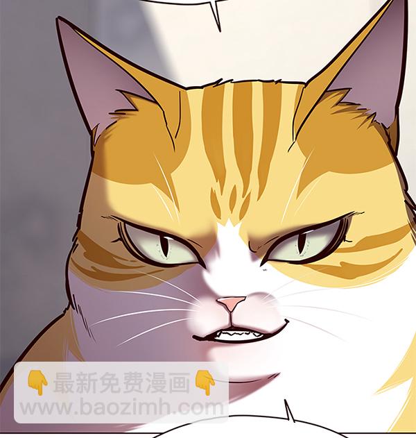 第116话33