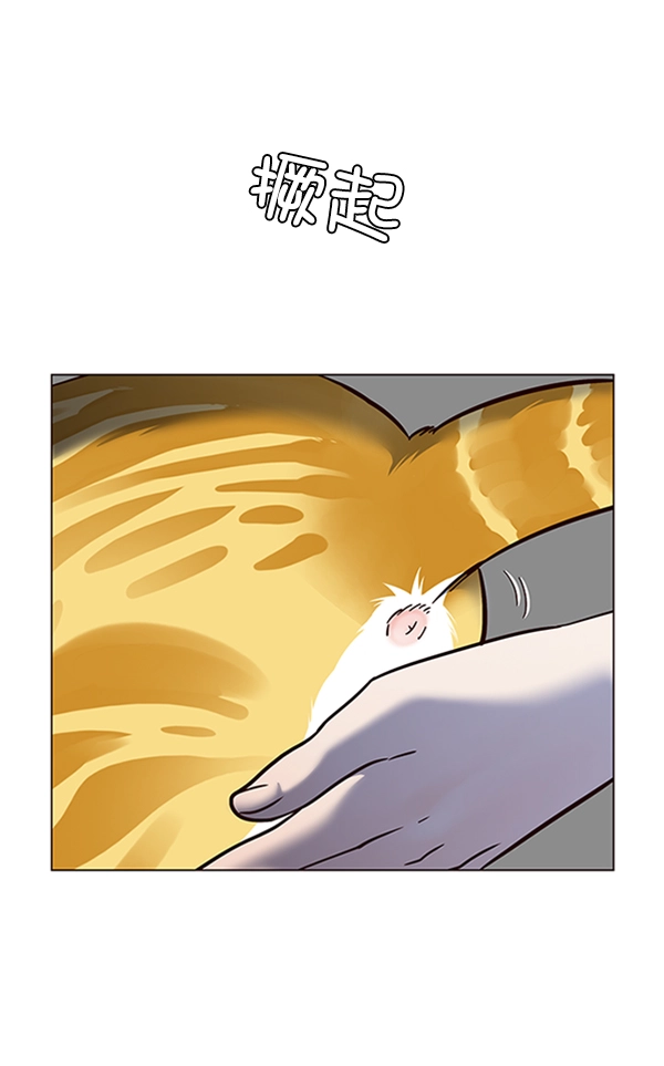 第80话102