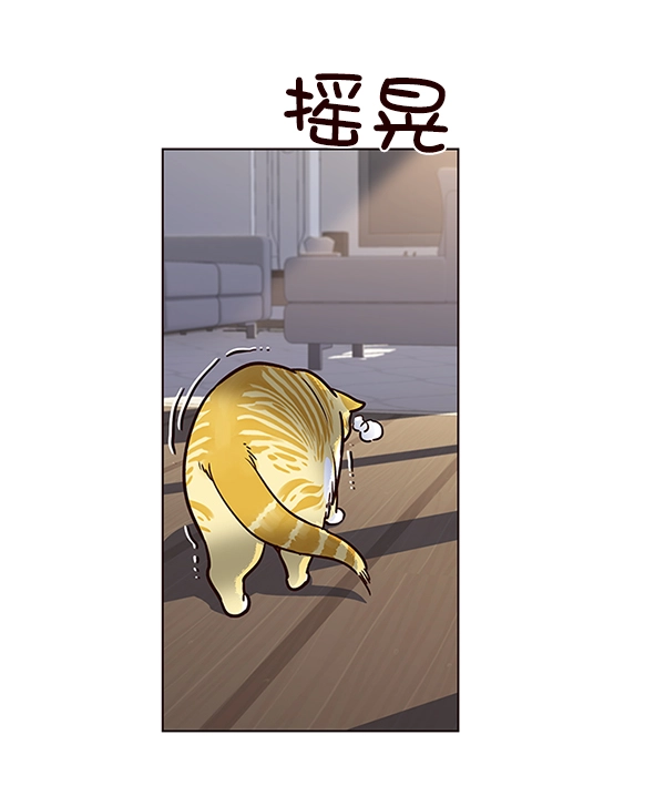 第11话42