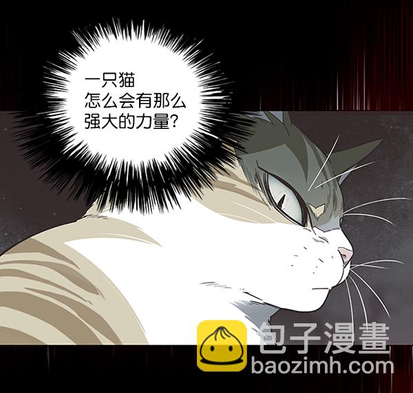 第46话45