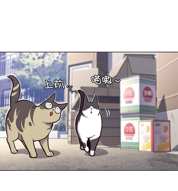第117话11