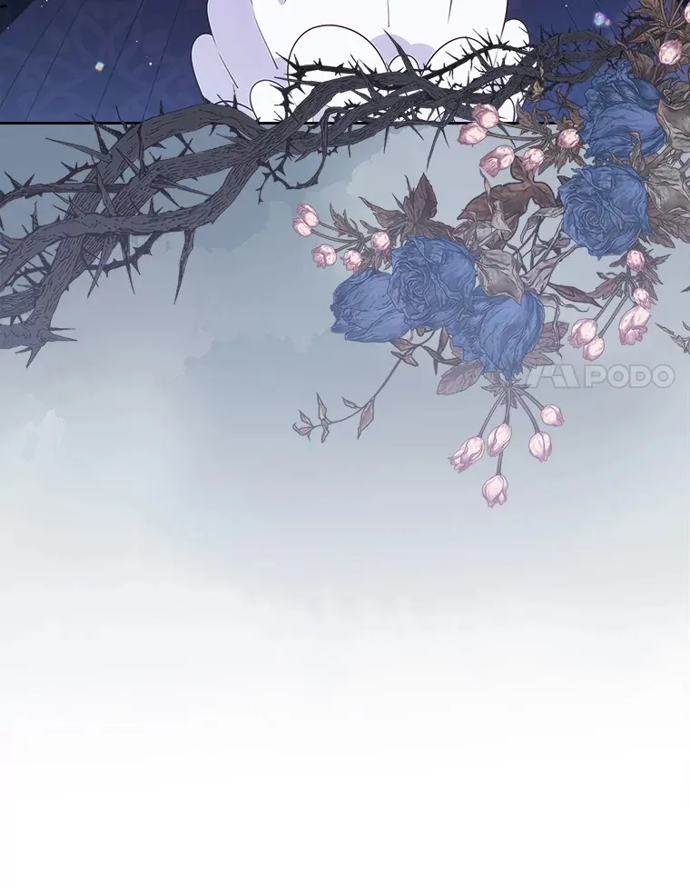 24.香水50