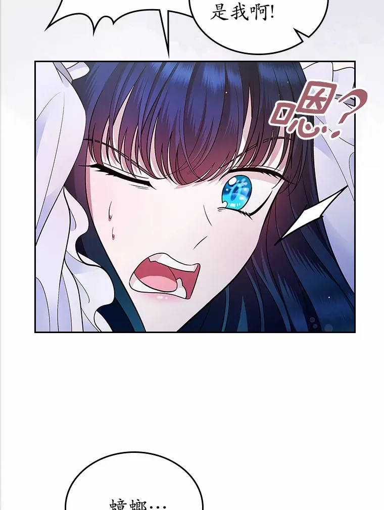 15.后盾61