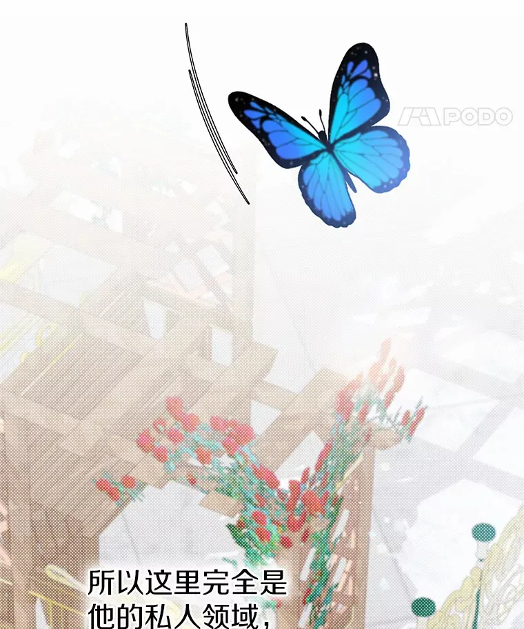 6.入宫18