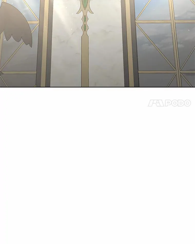 40.光之权杖勋章117