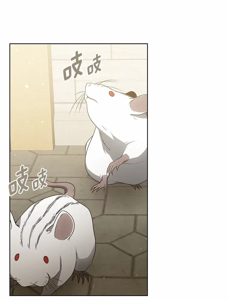 38.巴斯汀出血热108