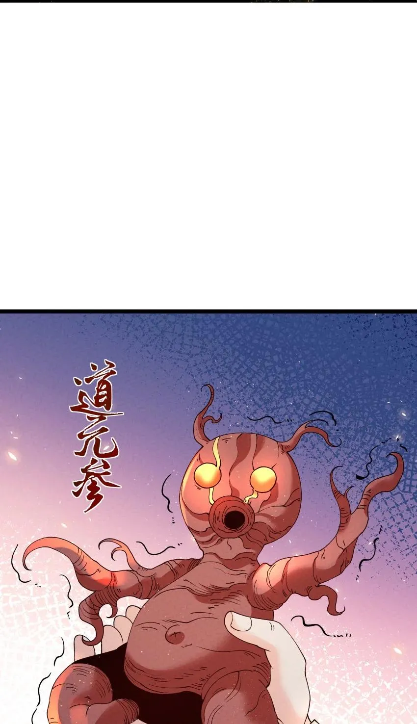 048 投喂17