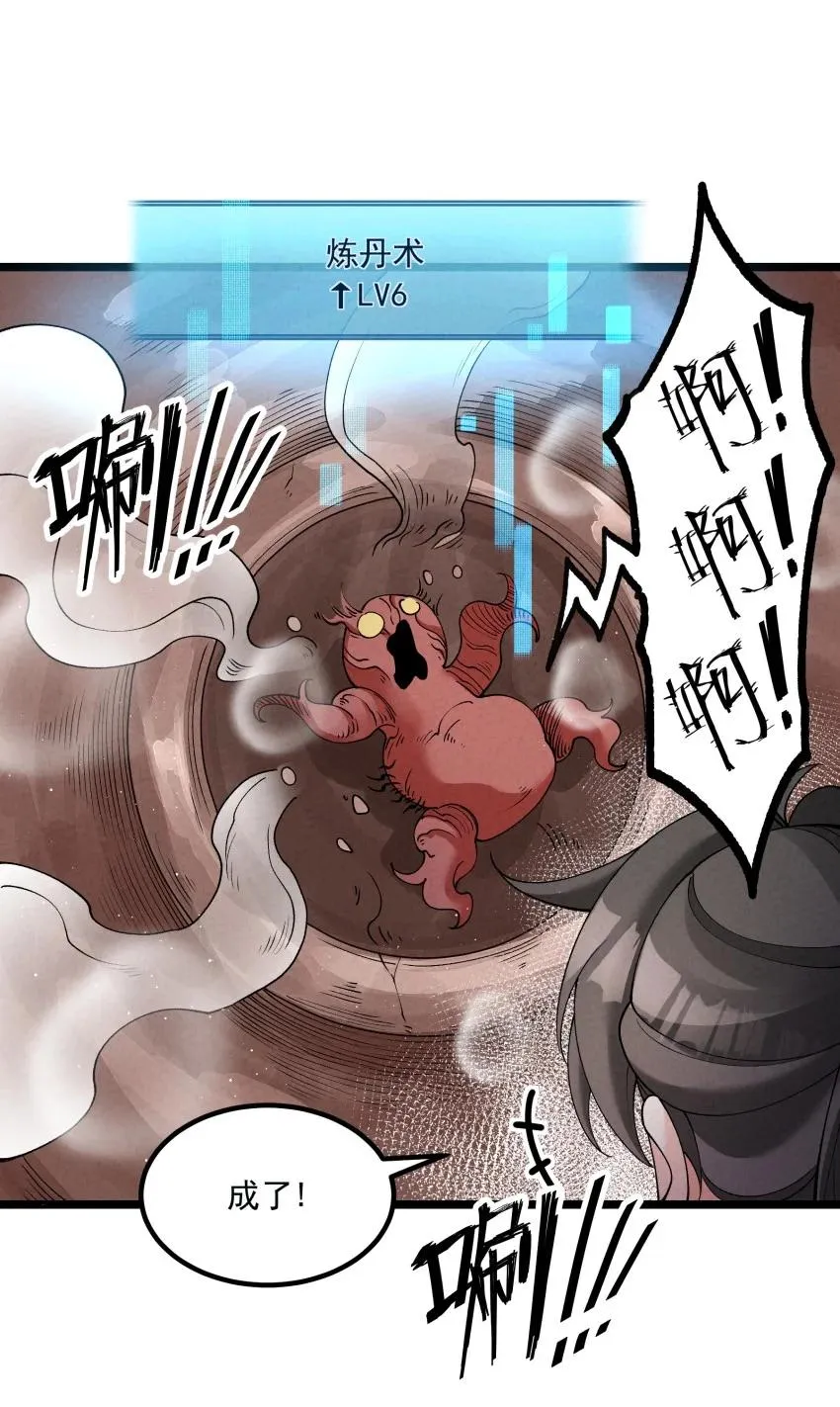 048 投喂19