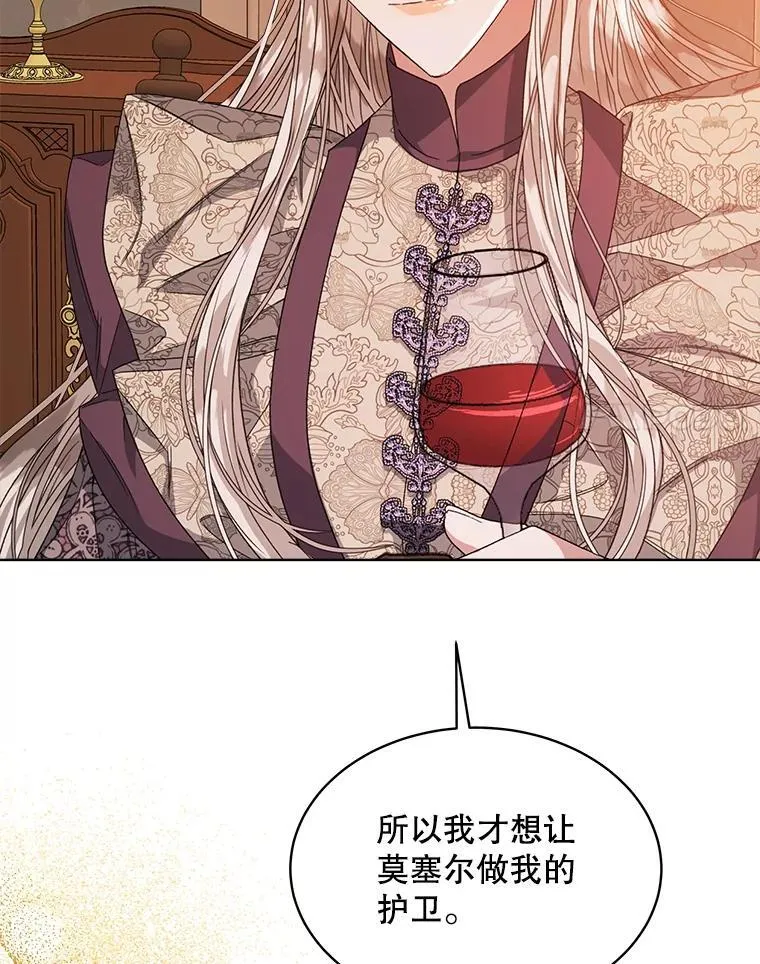 31.护卫骑士95