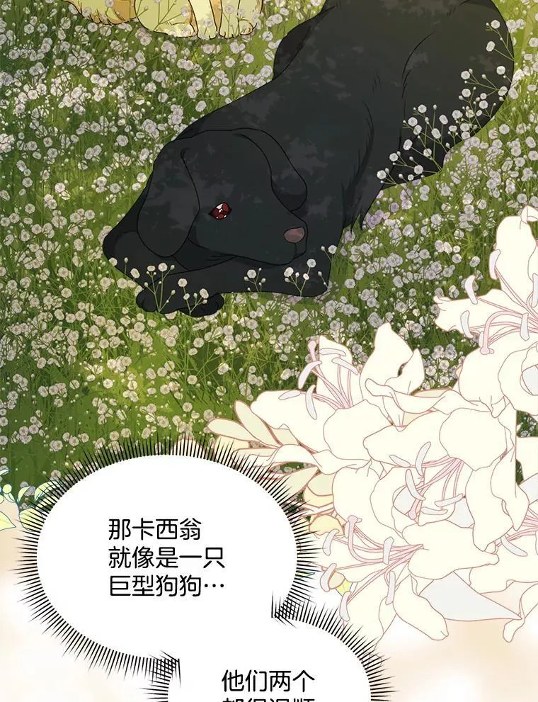 34.心理阴影95