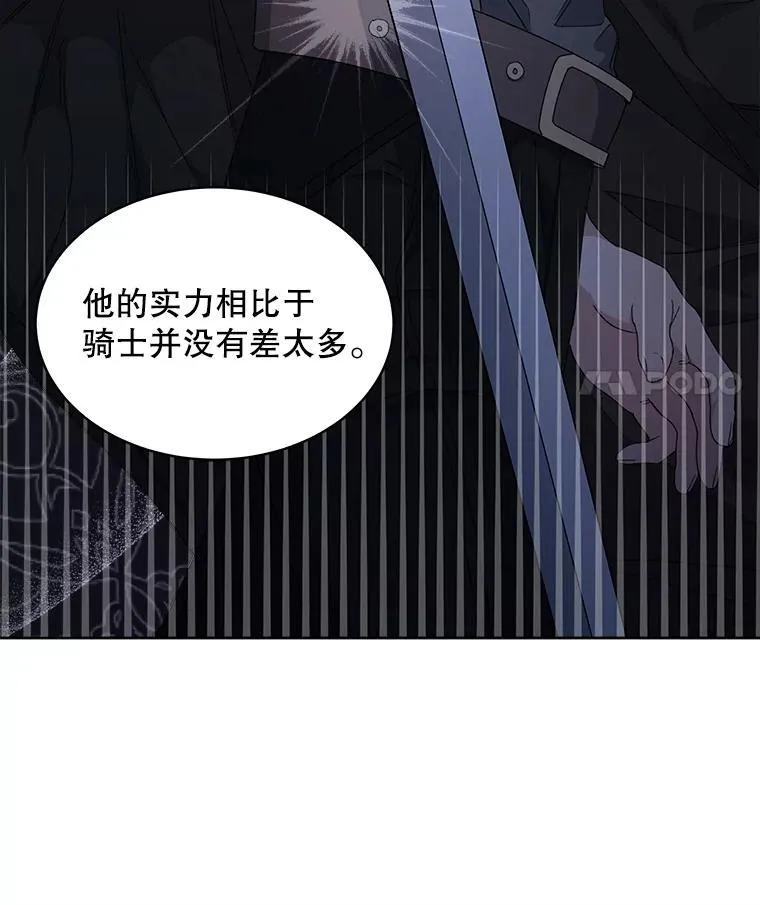 31.护卫骑士71