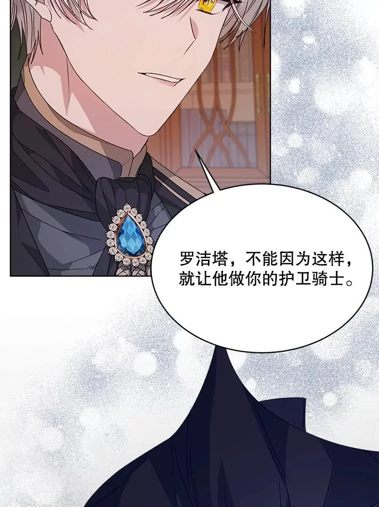 31.护卫骑士39