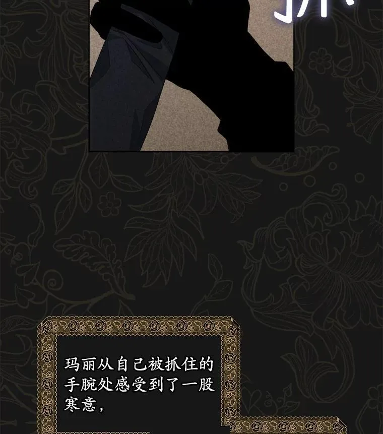 44.玛丽的王子39