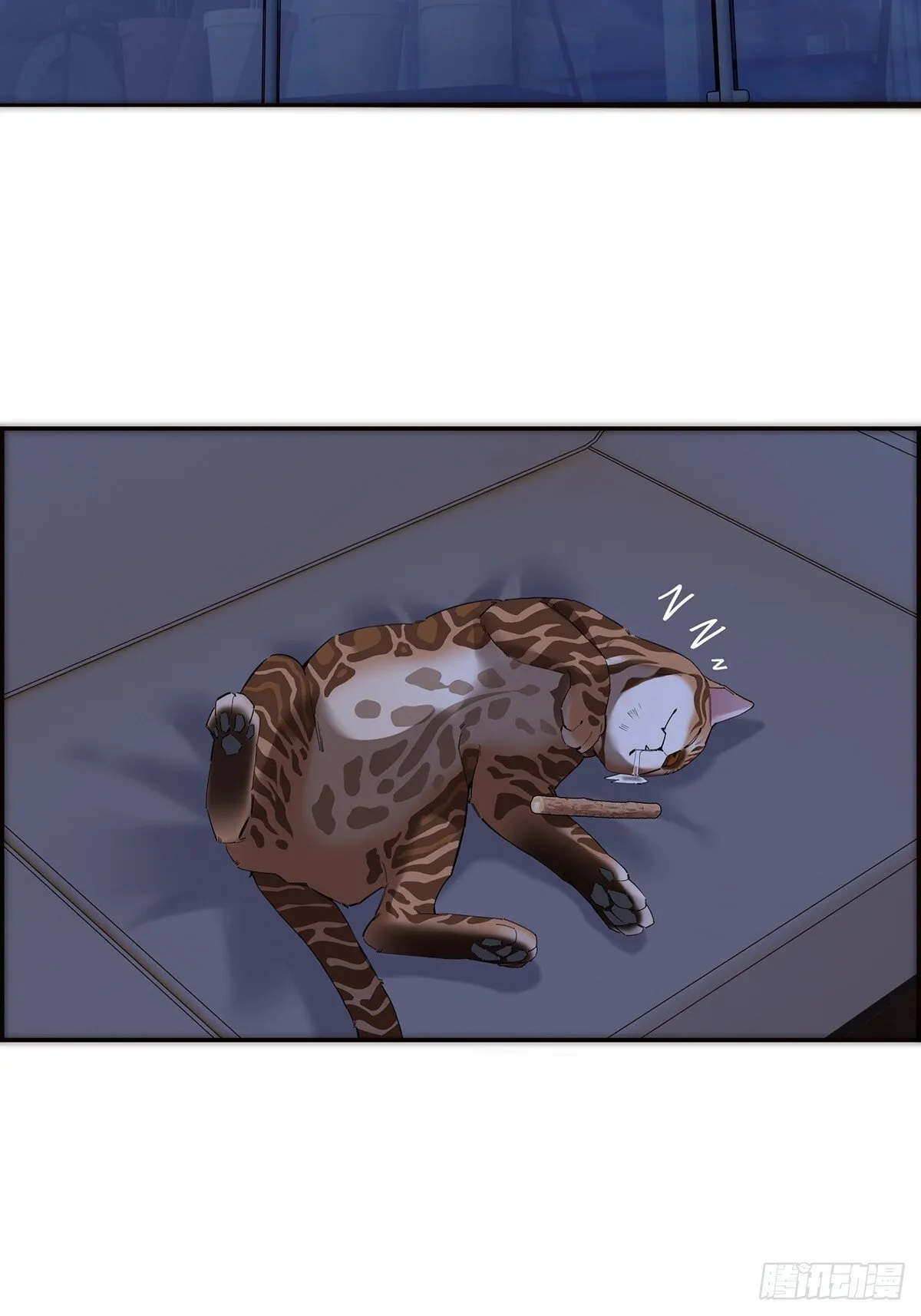 048 我们试试19