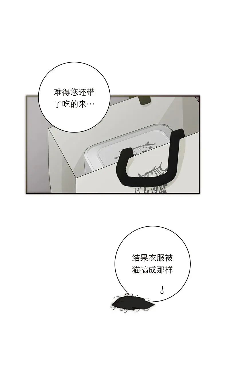 第35话12
