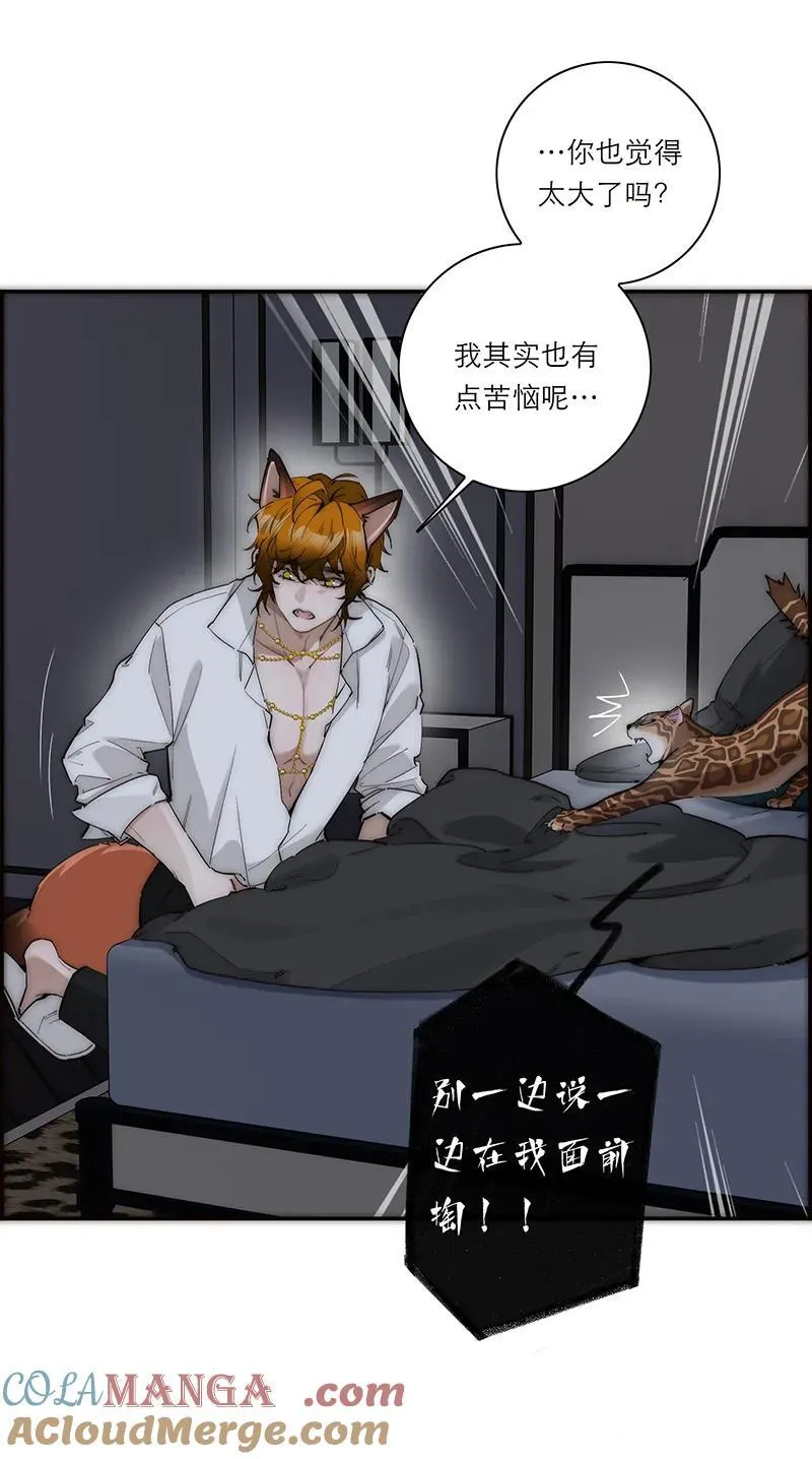 第31话24