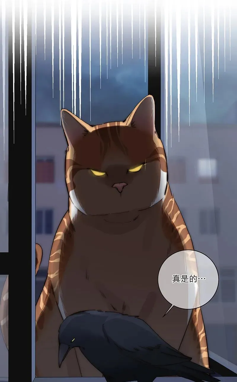 第37话40