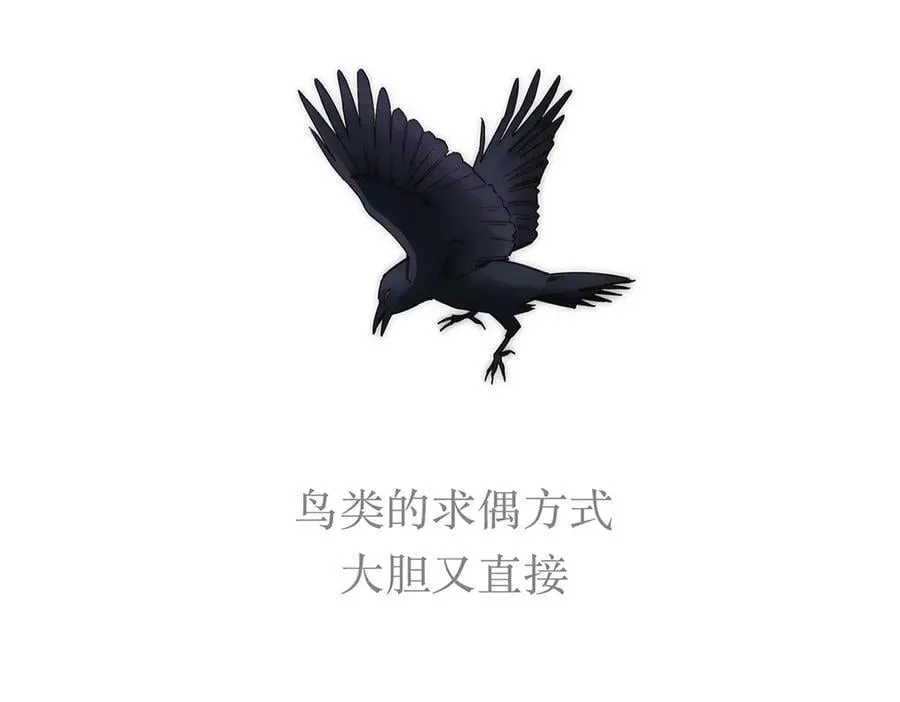 第52话 鸦的报恩38