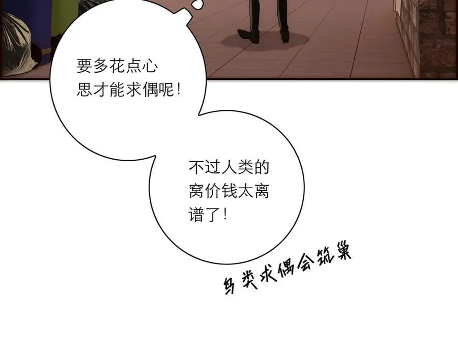 第52话 鸦的报恩51