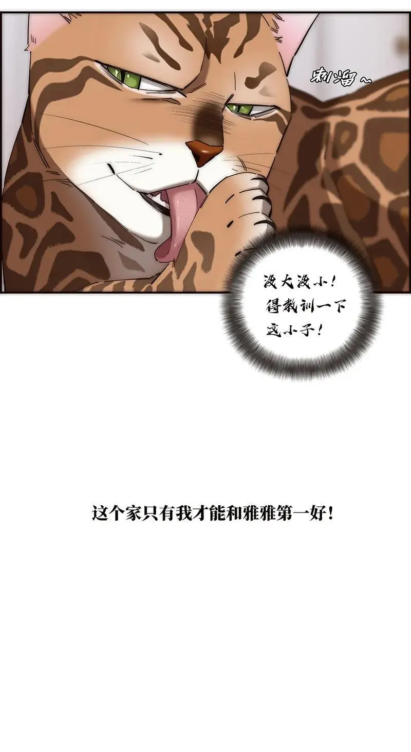第11话22