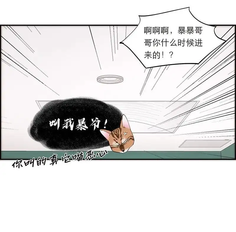 第11话11