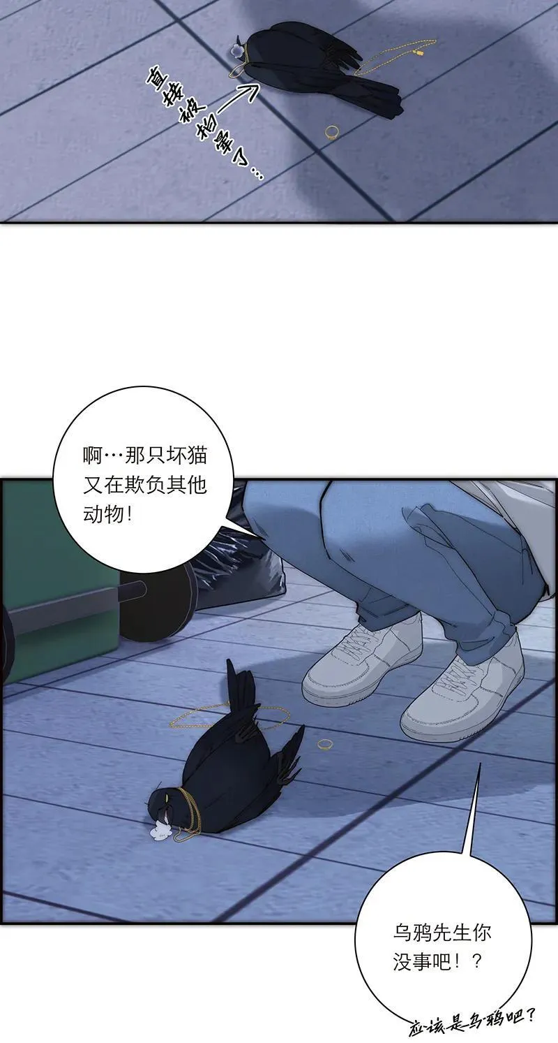 第37话17