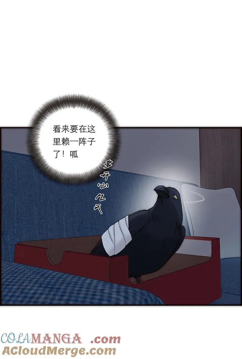 第38话12