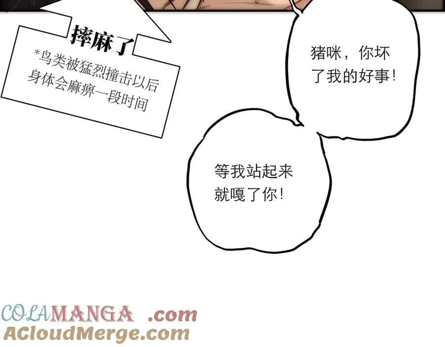 第51话 被盯上了？！84