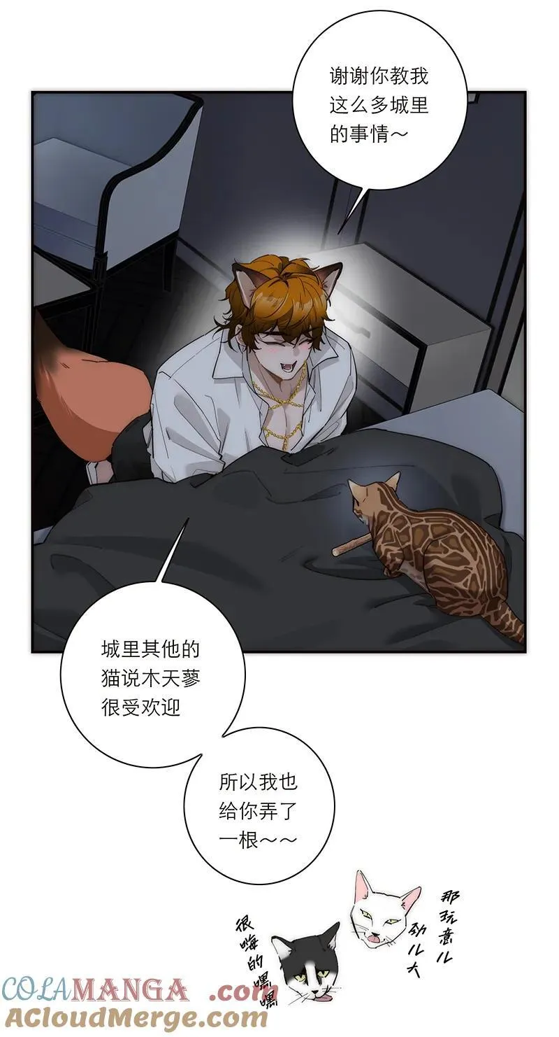 第31话36