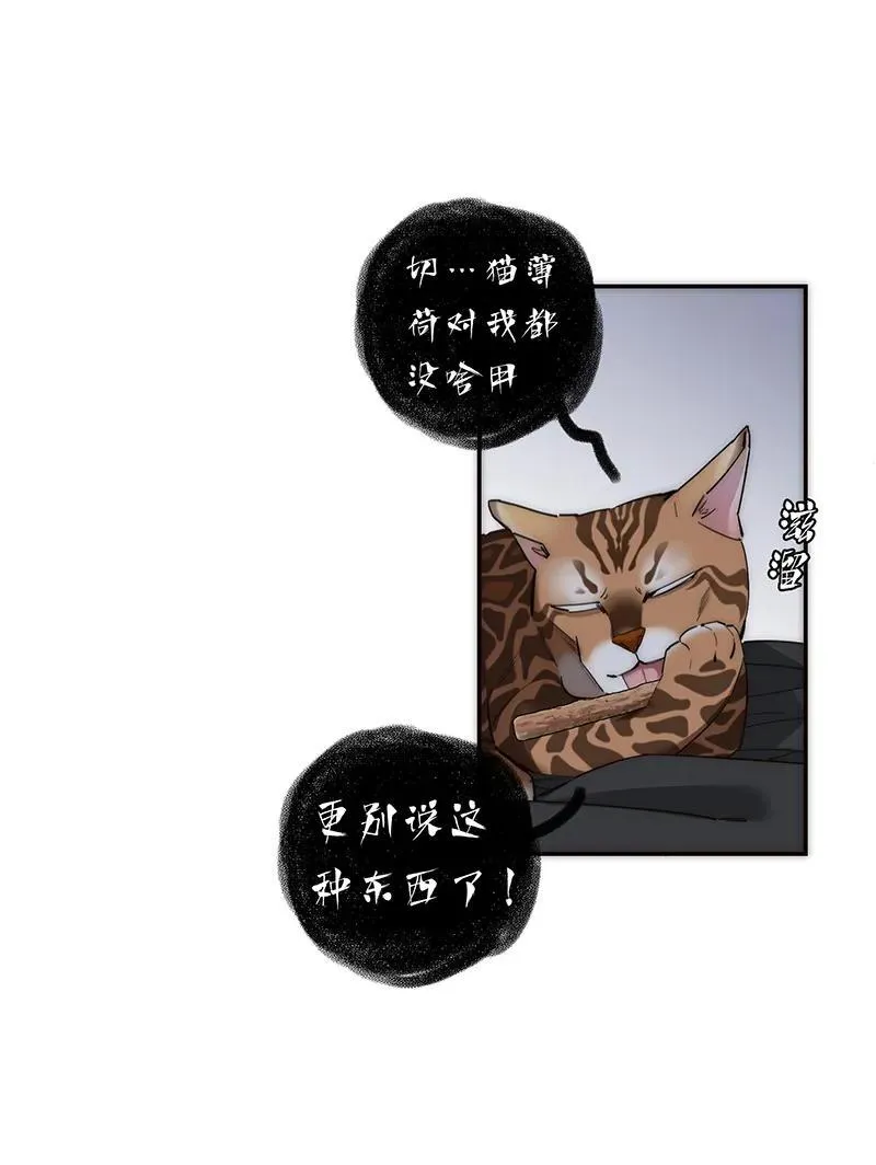 第31话37