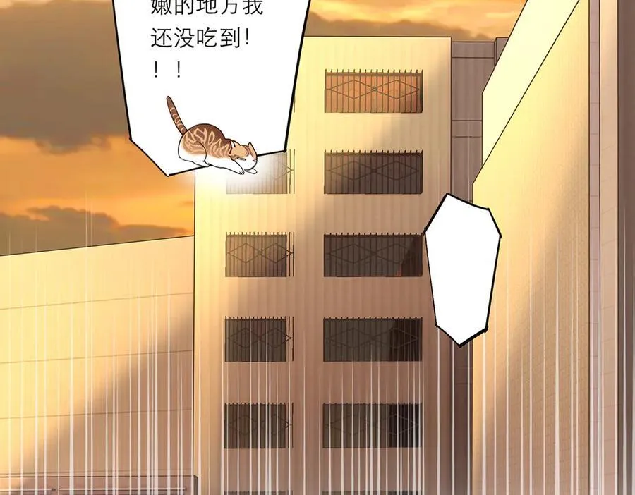 第52话 鸦的报恩55