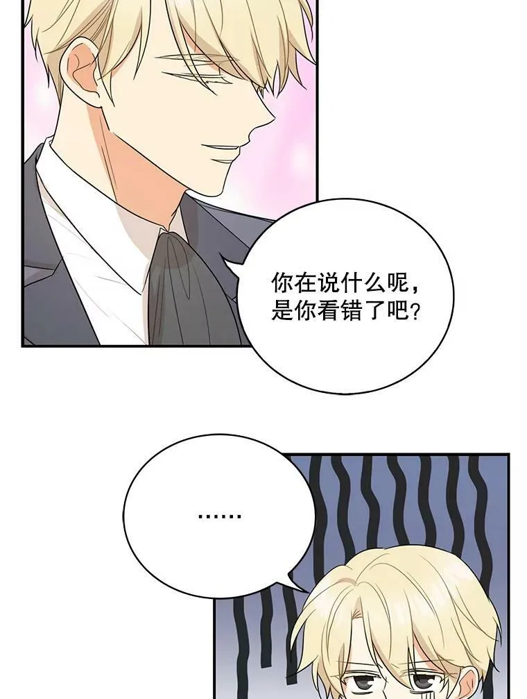 50.茶11