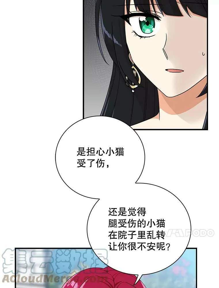68.卡丽娜的邀请函39