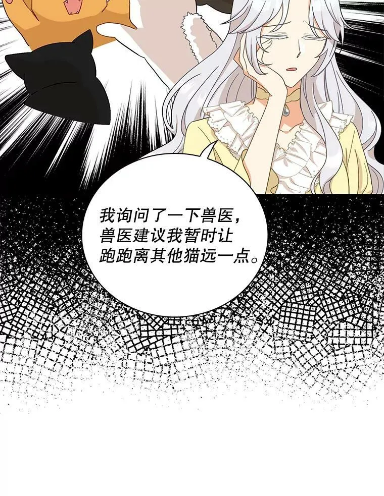 89.跑跑22