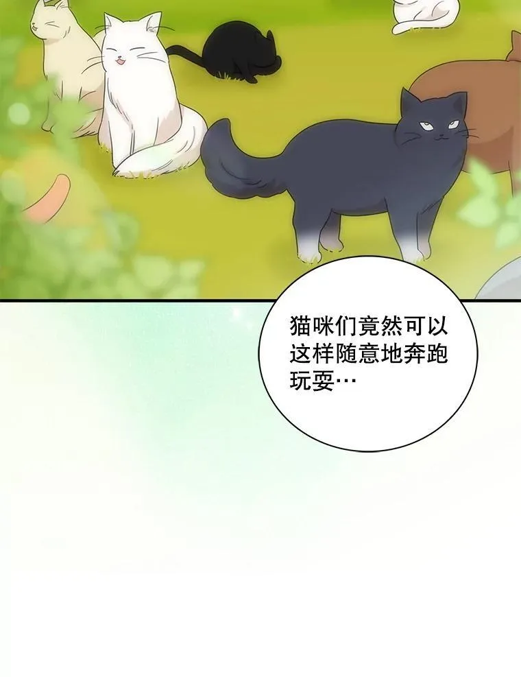 96.有了答案62