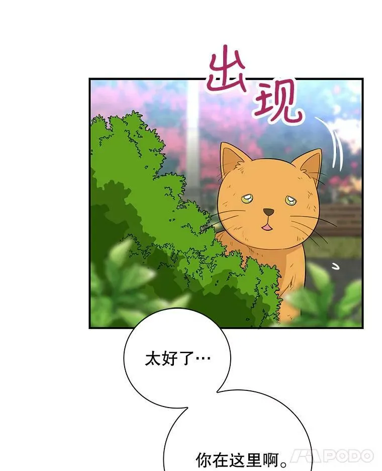 67.卡丽娜和猫47