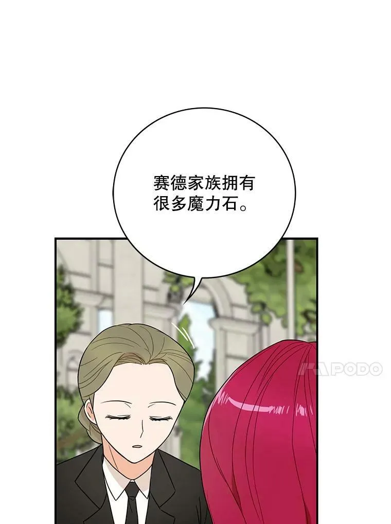 50.茶32