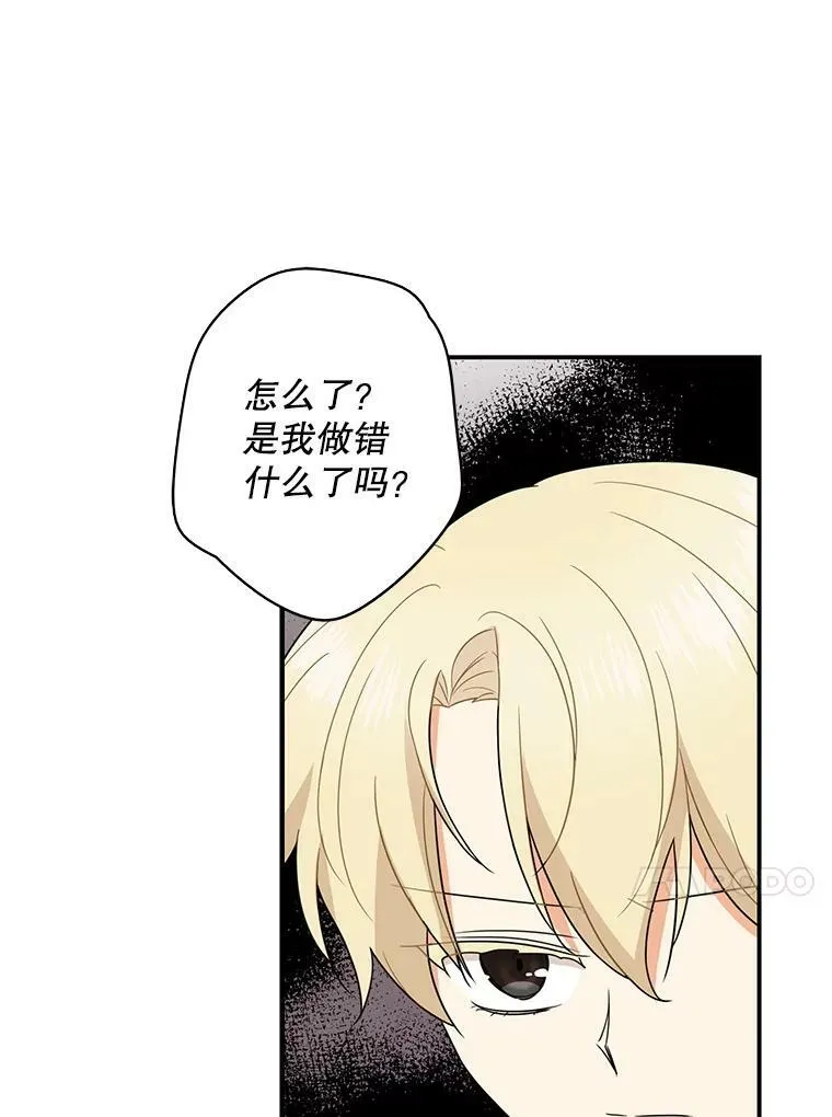 50.茶61