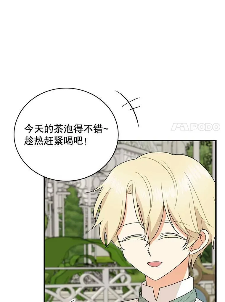 50.茶55