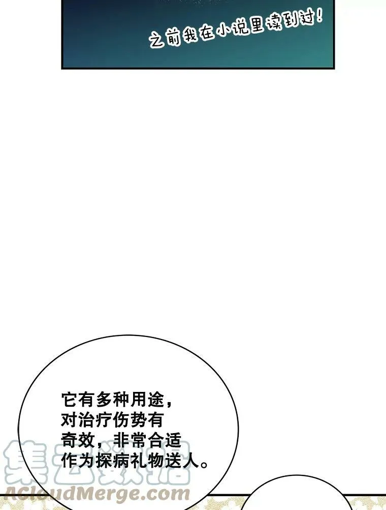 47.魔力石60